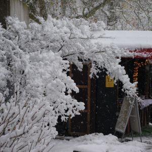 Winterlich am Weihnachtsmarkt